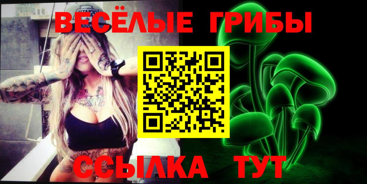 Одинцово  Псилоцибиновые грибы Psilocybe  Вход с VPN  Псилоцибиновые грибы GOLDEN TEACHER 